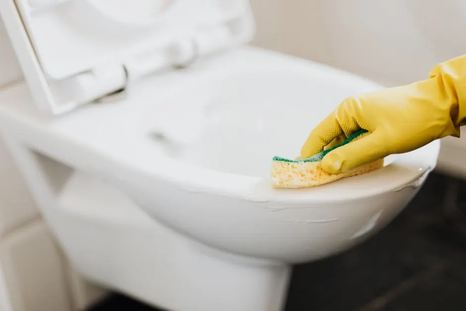 How to unclog a toilet without a plumber
